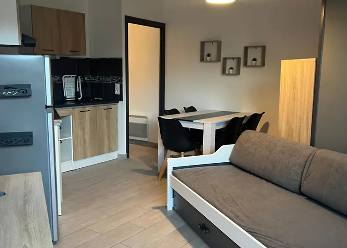 Appartement T2 De 30M2, Grande Terrasse, Residence Soleil Marin